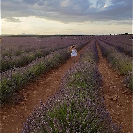 Apartamentos La Bodega Del Abuelo Bujalaro ภายนอก รูปภาพ