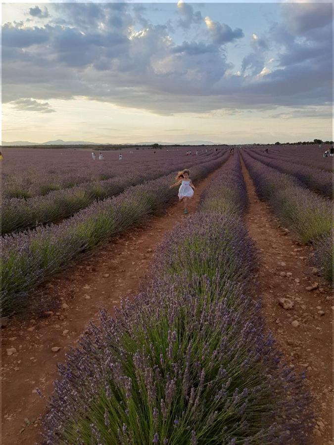 Apartamentos La Bodega Del Abuelo Bujalaro ภายนอก รูปภาพ