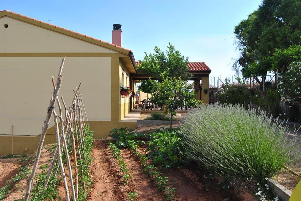 Apartamentos La Bodega Del Abuelo Bujalaro ภายนอก รูปภาพ